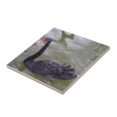 Kleine Schwanke (4,25" x 4,25") Keramik Foto Tile Fliese (Seite)