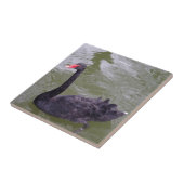 Kleine Schwanke (4,25" x 4,25") Keramik Foto Tile Fliese (Seite)