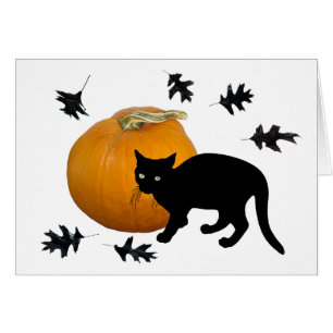 Kleine schwarze Katze mit KürbisHalloween-Karte