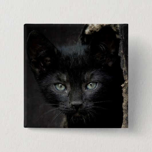 Kleine schwarze Miezekatze Button (Vorderseite)
