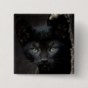 Kleine schwarze Miezekatze Button