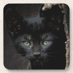 Kleine schwarze Miezekatze Getränkeuntersetzer
