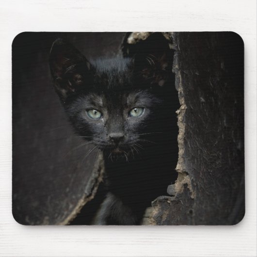 Kleine schwarze Miezekatze Mousepad (Vorne)