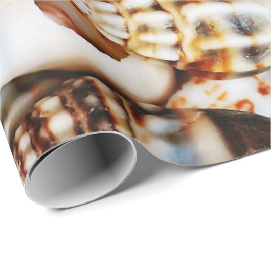 Kleine Seashells Geschenkpapier (Rolleneckpunkt)