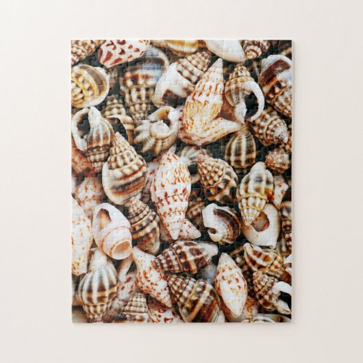 Kleine Seashells Puzzle (Vertikal)