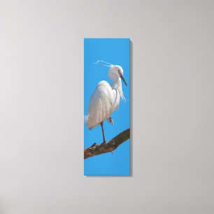 Kleine Silberreiher Leinwand