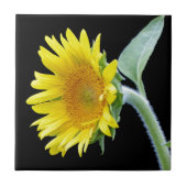 Kleine Sonnenblume Fliese (Vorderseite)