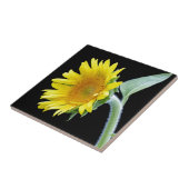 Kleine Sonnenblume Fliese (Seite)