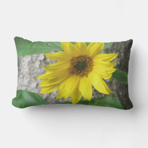Kleine Sonnenblume Kissen Für Draußen