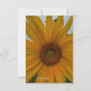 Kleine Sonnenblume Mitteilungskarte