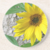 Kleine Sonnenblume Untersetzer (Vorne)