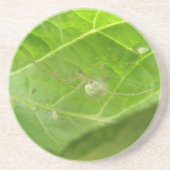 Kleine Spider-Untersetzer Sandstein Untersetzer (Vorne)