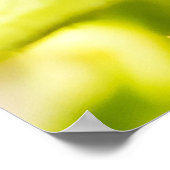 Kleine Springspinne Poster (Ecke)