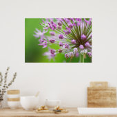 Kleine Sterne Poster (Küche)