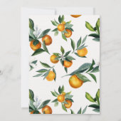 Kleine Süsse Citrus Botanical Orange Babydusche Einladung (Rückseite)