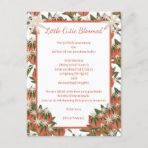 Kleine Süsse Clementine |Citrus Theme Birth