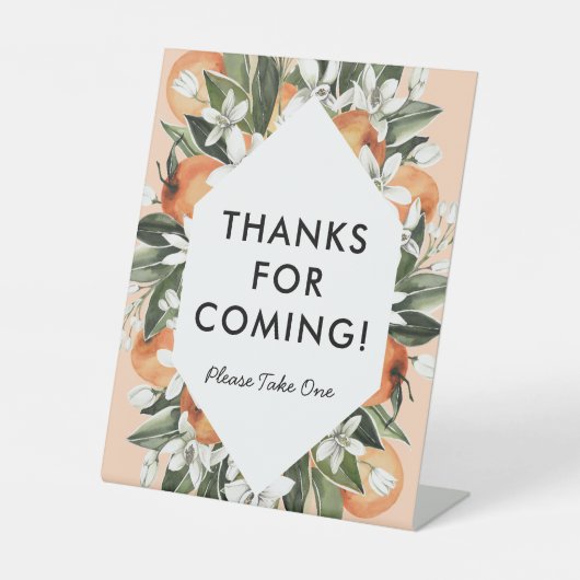 Kleine Süsse Dankeschön für die Begeisterung Sockelschild (Vorderseite)