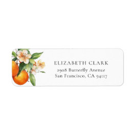 Kleine Süsse Grünpflanzen Citrus Orange Babydusche