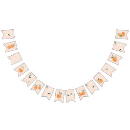 Kleine Süsse ist auf dem Weg Citrus Baby Dusche Wimpelkette