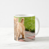 Kleine süße orange Katze Kaffeetasse (VorderseiteRechts)