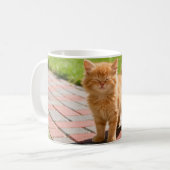 Kleine süße orange Katze Kaffeetasse (Vorderseite Links)