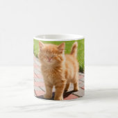 Kleine süße orange Katze Kaffeetasse (Mittel)