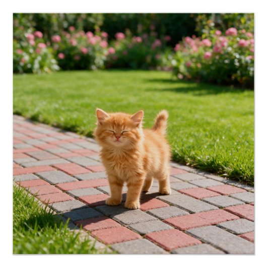Kleine süße orange Katze Poster (Vorderseite)