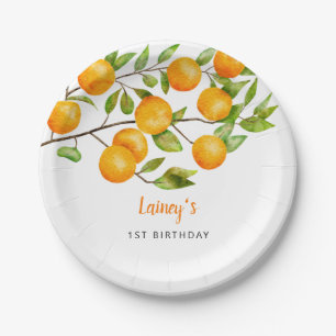 Kleine Süsse Sommer Geburtstagsparty Pappteller