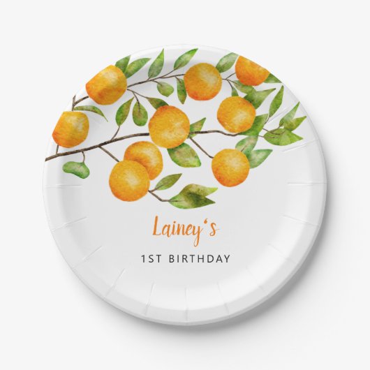 Kleine Süsse Sommer Geburtstagsparty Pappteller (Vorderseite)