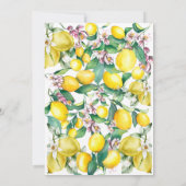 kleine süße Sommerdusche Einladung (Rückseite)