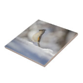 Kleine Titmaus im Schnee Fliese (Seite)