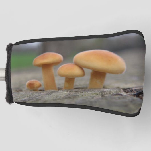 Kleine Toadstools Macro Golf Putter Cover Headcover (Vorderseite)
