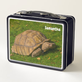 Kleine Tortoise Metal Lunchbox