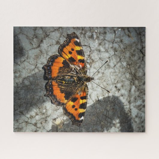 Kleine Tortoiseshel Butterfly Puzzle (Horizontal)