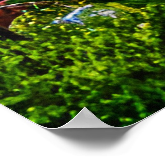 Kleine Touristenstadt viele bunte Häuser Poster (Ecke)