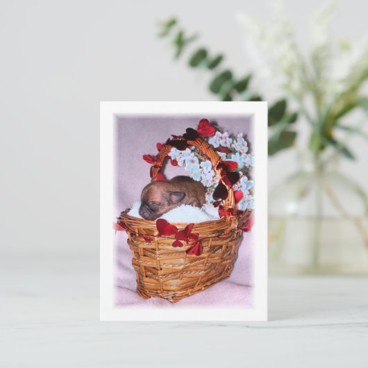 Kleine Überraschungen Postkarte (Stehend Vorderseite)