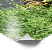 KLEINE UND KLEINKLEINE FOTODRUCK (Ecke)