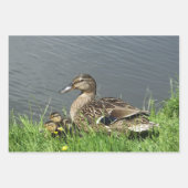 KLEINE UND KLEINKLEINE GESCHENKPAPIER SET (Vorderseite 2)