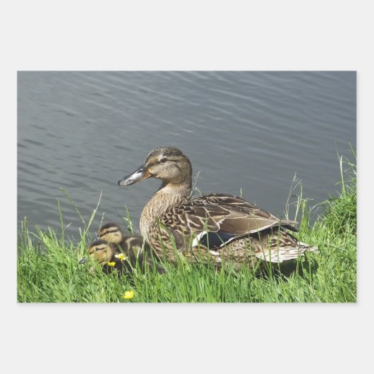 KLEINE UND KLEINKLEINE GESCHENKPAPIER SET (Vorderseite)