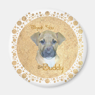 Kleine verletzte Jungfrau - gerettet! Magnet