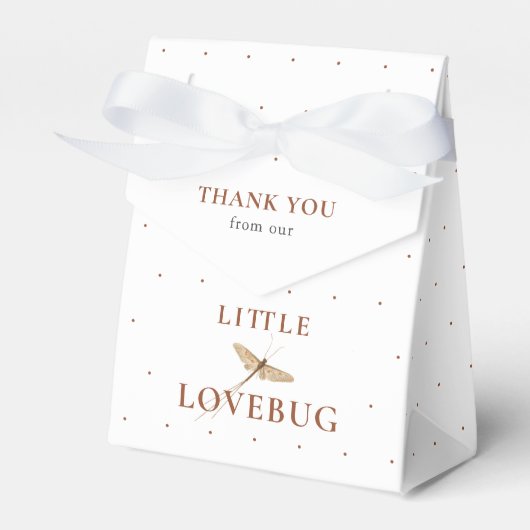 Kleine Vintage Lovebug Gevor Box Geschenkschachtel (Vorderseite)