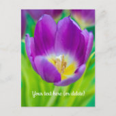 Kleine violette Tulpe Postkarte (Vorderseite)