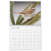 Kleine Vögel 2026 Kalender (Mär 2027)