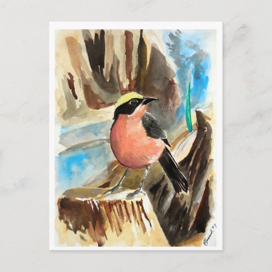 Kleine Vögel #7 Postkarte (Vorderseite)