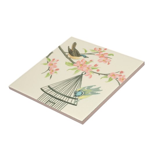 Kleine Vögel, die auf einem Zweig und auf einem Vo Fliese (Seite)