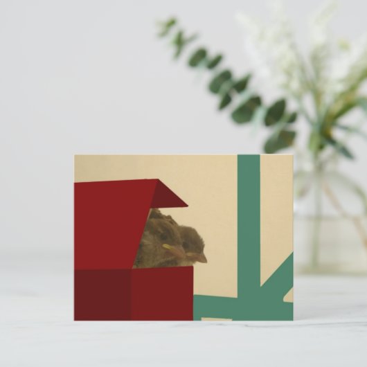 Kleine Vögel Postkarte (Stehend Vorderseite)