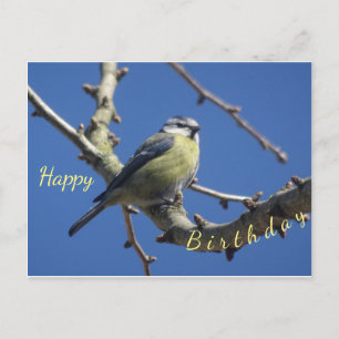 Kleine Vogelfreuden mit Blauem Himmel Geburtstagsk Postkarte
