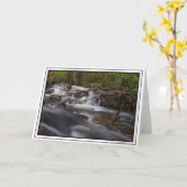 Kleine Wasserfälle auf dem Frühling Karte (Gelbe Blume)