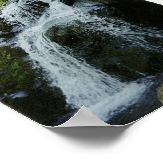 Kleine Wasserläufe Poster (Ecke)