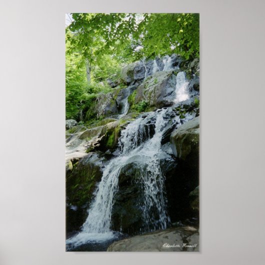 Kleine Wasserläufe Poster (Vorne)